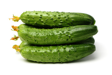 Green cucumber on the white background