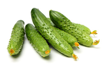 Green cucumber on the white background