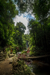 Regenwald in Bali, Indonesien - Weg zum Wasserfall