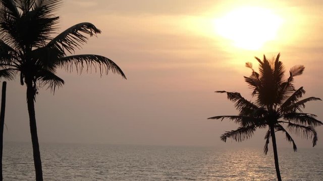 Beautiful sunset, evening sky, palm silhouette on a background of the sea