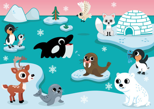 Vector set with arctic animals for kids. Set includes polar bear, seal, walrus, owl, penguins, arctic fox, reindeer, and whale. Iceberg, igloo and sky on background. Arctic animals vector illustration