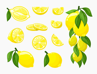 Set of lemons. Illustration of yellow citrus fresh juicy, a bunch of ripe lemon on a branch with leaves, organic vitamin , whole and cut. Vector graphics in flat style, clipart.