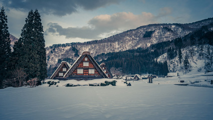 House With Mountain Winter View