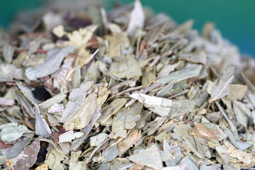 dried tea leaves
