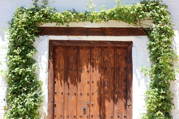 Puerta de madera antigua con decoración vegetal. Un detalle del Generalife
