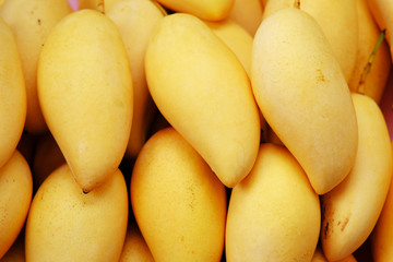 Fototapeta na wymiar close up mango in the market background
