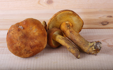 Bolete mushrooms on table