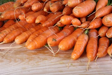 Carrots on table
