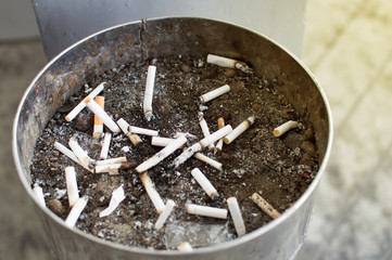 Many cigarettes in the ashtray The rest of the cigarettes in the ashtray There are many types of...