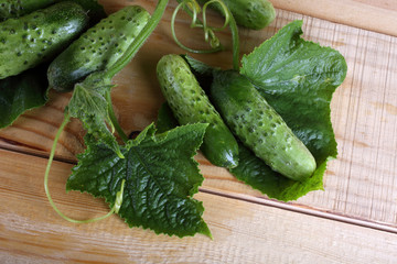 Cucumbers on table
