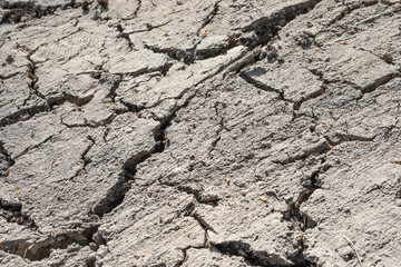 dried_out_soil