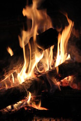 Fototapeta premium Bonfire at night.