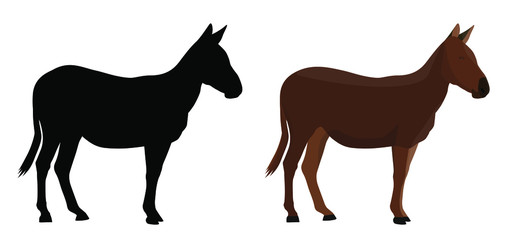 Fototapeta na wymiar vector illustration of a brown horse isolated on white