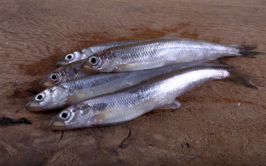 Smelt fish on cutting board