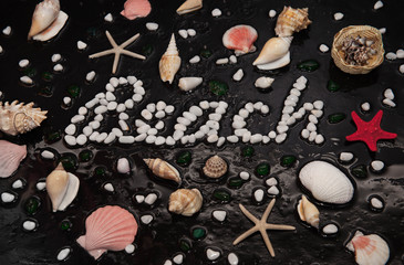 Obraz na płótnie Canvas Seashells on raindrops on a black background. Sea summer vacation background with text Beach.