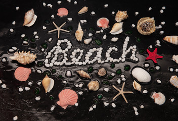 Obraz na płótnie Canvas Seashells on raindrops on a black background. Sea summer vacation background with text Beach.