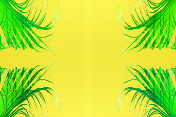 Fototapeta na wymiar palm trees background