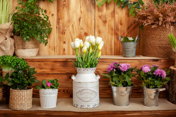 Bouquet White tulips flowers in a basket. interior of spring yard. Rustic terrace. Closeup of flower pots with plants. young plants growing in garden. Spring decoration, tulips in a basket. Easter	
