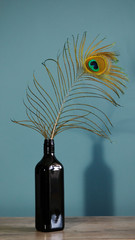 Interior decor with a black bottle with a peacock feather