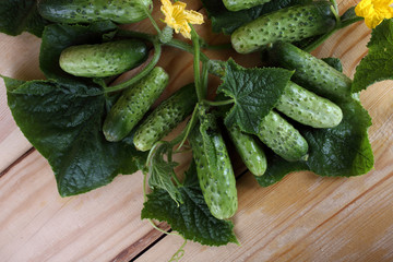 Cucumbers on table