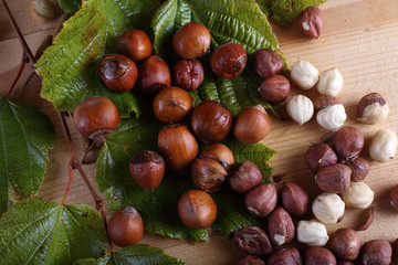Hazelnuts on table