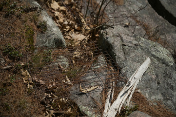 Old fire pit
