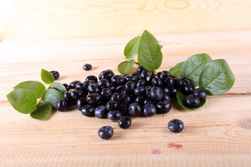 Blueberry harvest