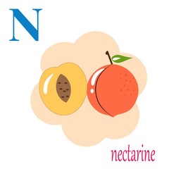 N is for nectarine illustration alphabet 