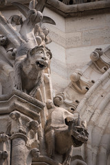 Gothic chimeras on Paris' Notre Dame cathedral