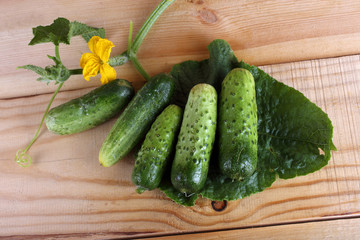 Cucumbers on table