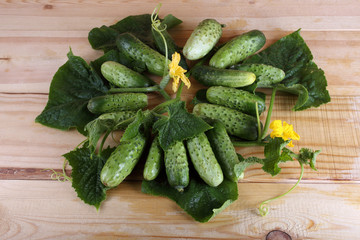 Cucumbers on table