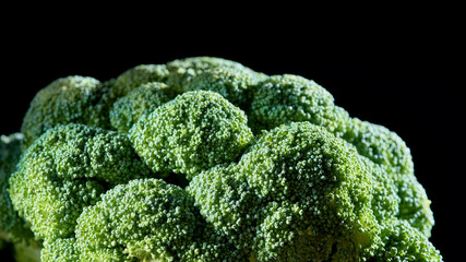 broccoli head on a dark background