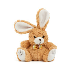 Fototapeta premium cute brown bunny on a white background