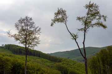 Obraz premium Cloudy sky over the Bukk mountains in Hungary