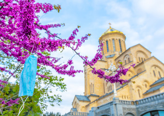 Used blue facial mask hangs on blooming spring tree with Holy trinity cathedral in the background. Concept of church mass during pandemic. Tbilisi.Georgia.29.04.2020