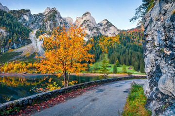 Colorful autumn view of Gosausee (Vorderer) lake with asphalt walkway road. Calm morning scene of Austrian Alps, Upper Austria, Europe. Beauty of nature concept background.