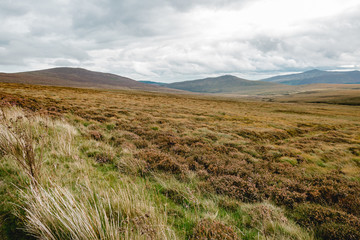 Irland Wicklow Mountains National Park Military Road Ebene