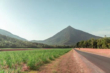 Fototapeta premium Beautiful mountain landscape with sugar cane fields foreground. Dramatic view of Road, fields, trees, green forest, farm, mountains, blue sky & road. Shot in Walsh's Pyramid, Cairns, Australia.