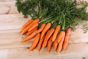 Carrots on table. Harvest