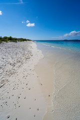 long white sand beach with green flowers and turquoise water, Bonaire, Caribbean Island