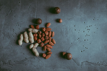 A close-up of a group of various nuts  such as peeled dried almond and hazelnuts  and unpeeled peanuts and cracked macadamia on a concrete blue textured background. A culinary concept. Copy space