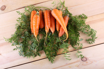 Carrots on table. Harvest