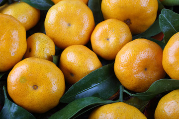 Mandarin oranges background