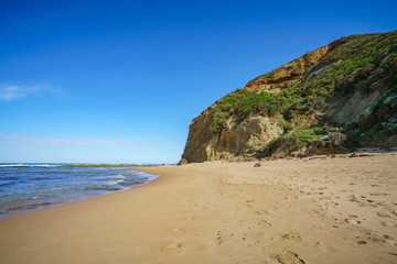 Fototapeta na wymiar hiking the great ocean walk on wreck beach, victoria, australia