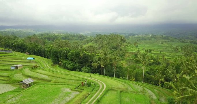 
bali famous tourist destination