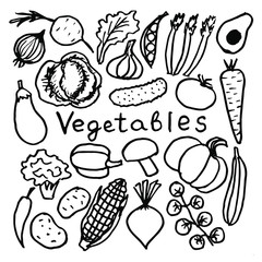 Set of vector doodle images, vegetables illustration.