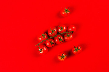 Red tomatoes on a red background shot from above with shadows