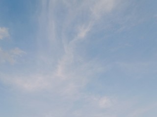 see the sunset in the middle of rice fields