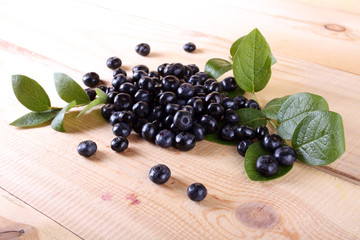 Blueberry harvest