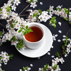 white Cup of hot tea on the table with flowering branches of cherry . spring mood